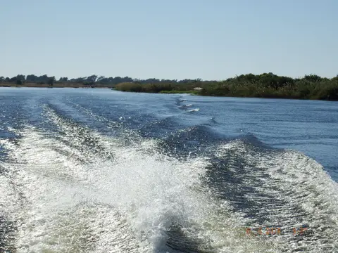 DSCF0203.JPG