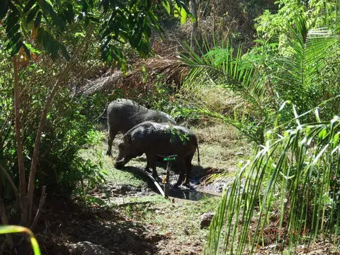 DSCF0245.JPG