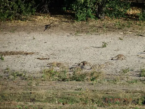 DSCF0374.JPG