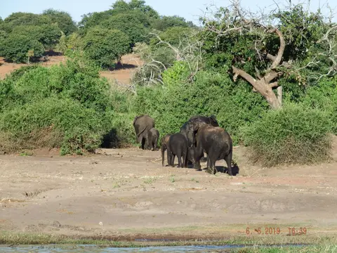 DSCF0378.JPG