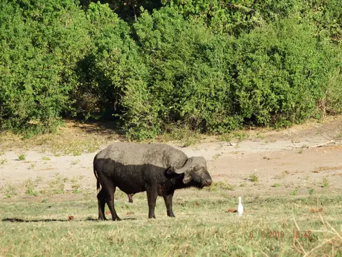 DSCF0394.JPG