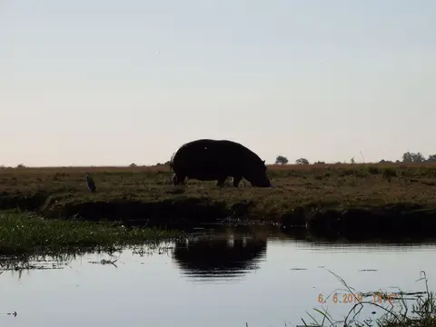 DSCF0407.JPG