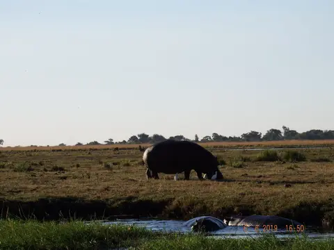 DSCF0418.JPG