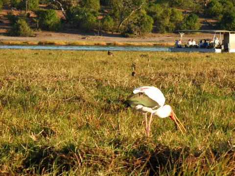 DSCF0447.JPG