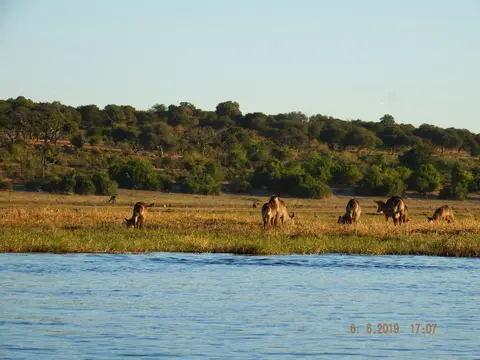 DSCF0454.JPG