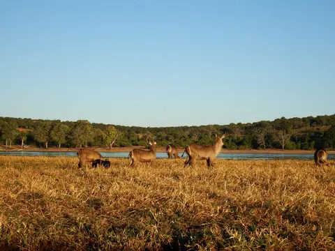 DSCF0457.JPG
