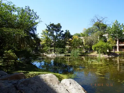 DSCF0562.JPG