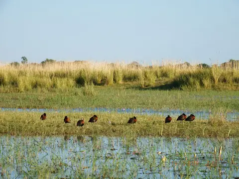 DSCF7284.JPG