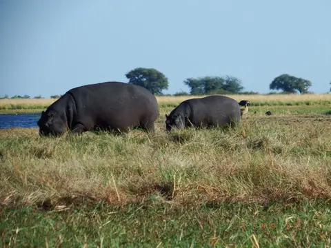 DSCF7357.JPG