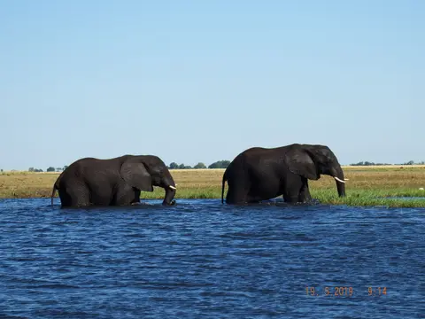 DSCF7422.JPG