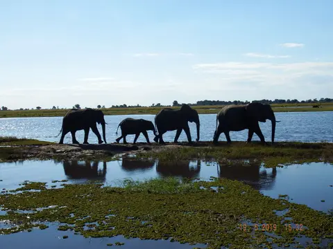 DSCF7501.JPG