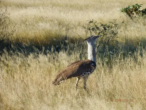 DSCF7532.JPG