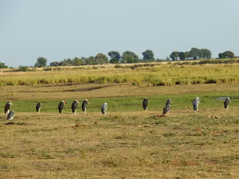 DSCF7573.JPG