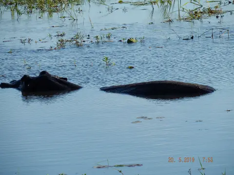 DSCF7579.JPG