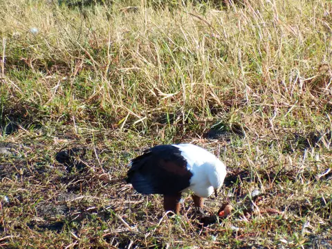 DSCF7585.JPG