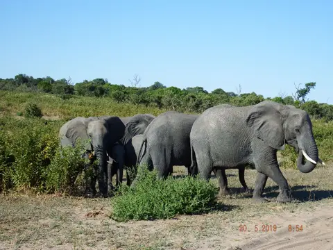 DSCF7604.JPG