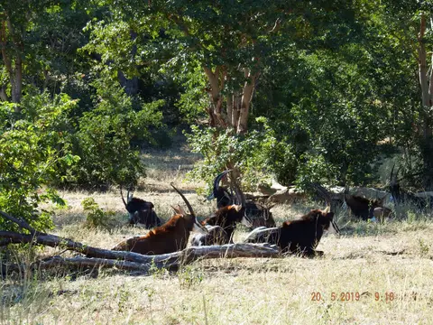 DSCF7612.JPG