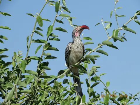 DSCF7628.JPG