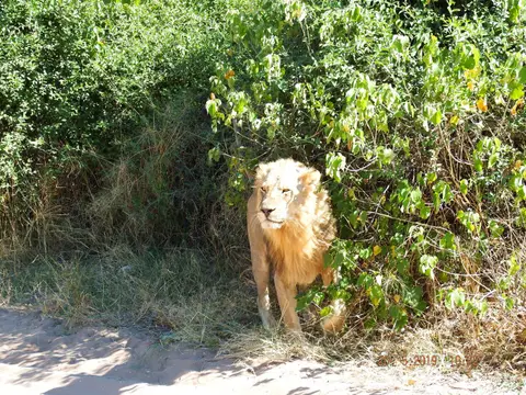 DSCF7633.JPG