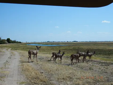 DSCF7691.JPG