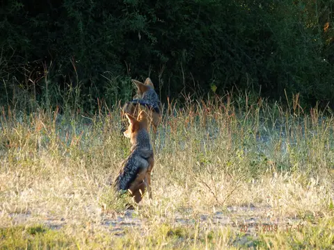 DSCF7741.JPG