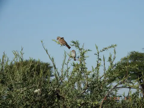 DSCF7868.JPG