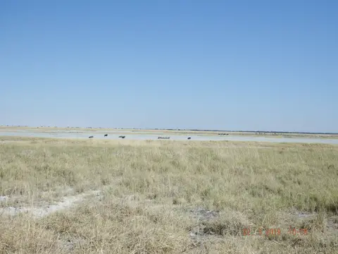 DSCF7876.JPG