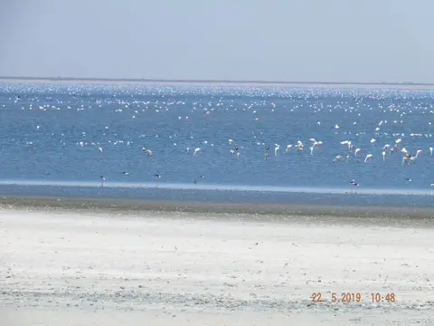DSCF7886.JPG