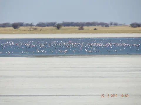 DSCF7889.JPG