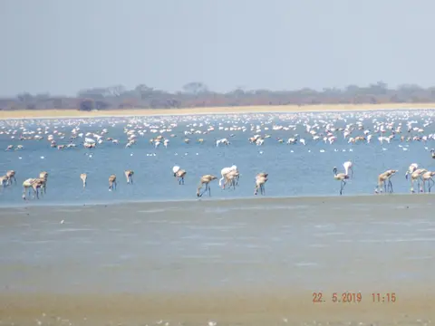 DSCF7900.JPG