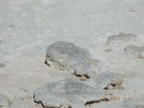 DSCF7901.JPG