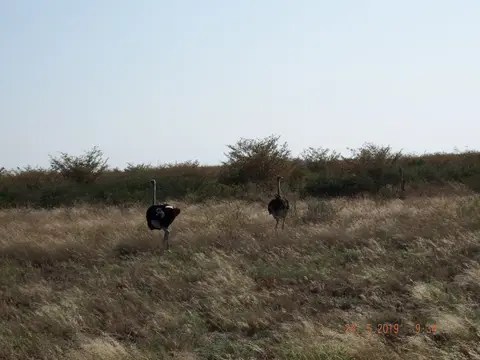 DSCF7986.JPG