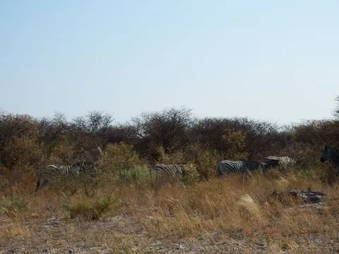 DSCF7988.JPG