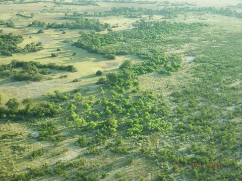 DSCF8115.JPG