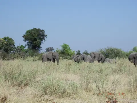 DSCF8173.JPG