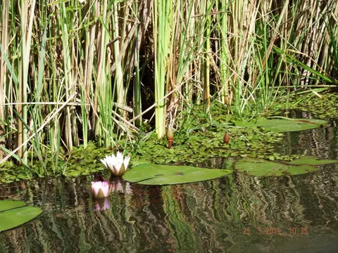 DSCF8187.JPG