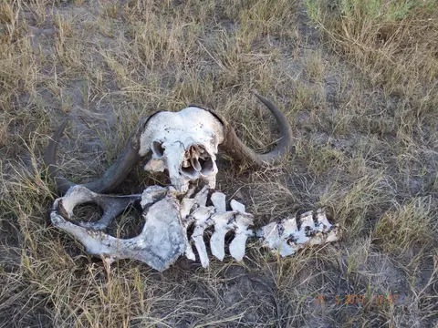 DSCF8271.JPG