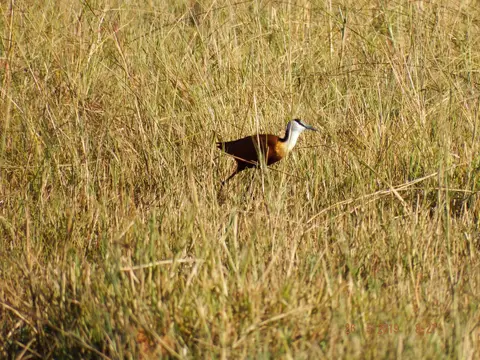 DSCF8322.JPG