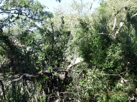 DSCF8358.JPG