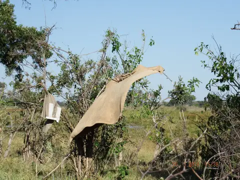 DSCF8359.JPG