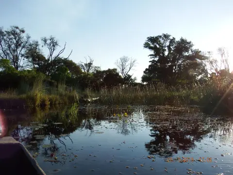 DSCF8389.JPG