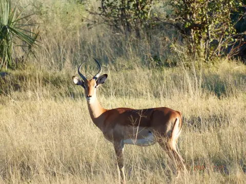 DSCF8455.JPG