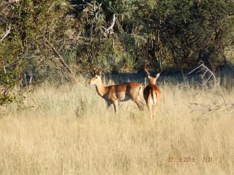 DSCF8458.JPG