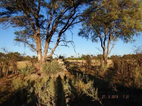 DSCF8459.JPG