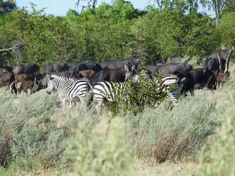 DSCF8488.JPG