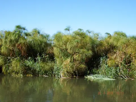 DSCF8522-2.JPG