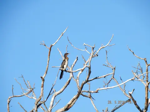 DSCF8536.JPG