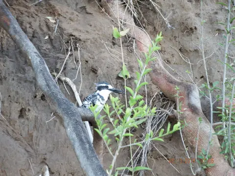 DSCF8584.JPG