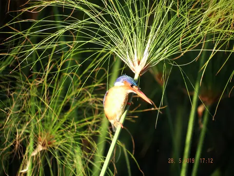 DSCF8594.JPG