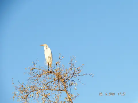 DSCF8603.JPG